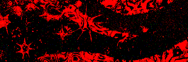 BugChansOrgans Profile Banner