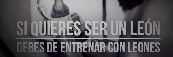 cesdelat's profile banner image