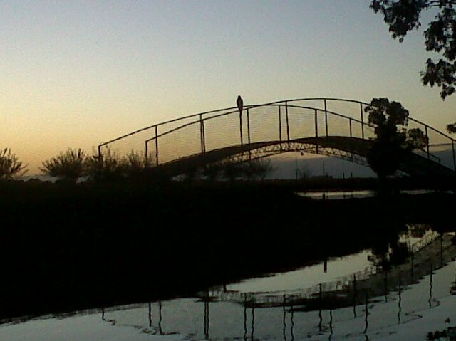SergioSimoni's profile banner image