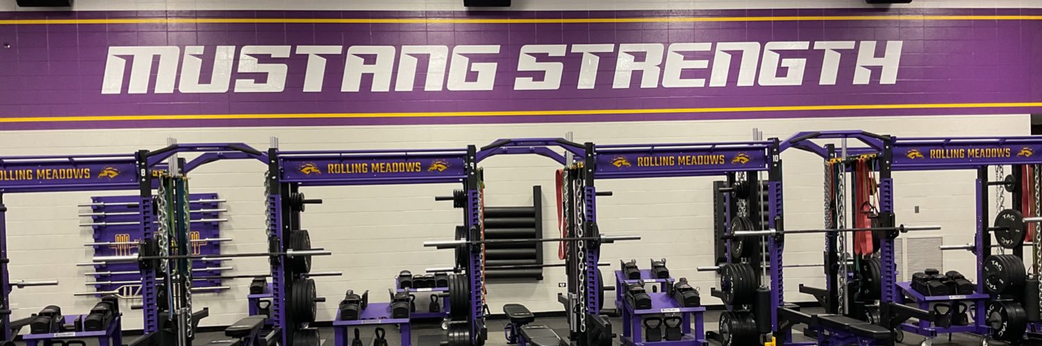 Mustang Strength banner