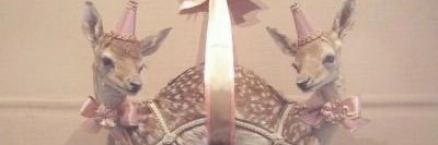 Fawnrott's profile banner image