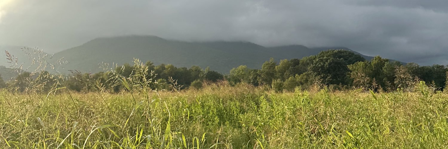 🌙Good Alchemy banner