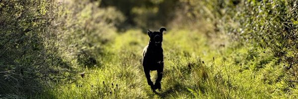 LadyGrace27 Profile Banner