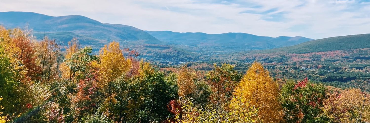 madleeschorr's profile banner image