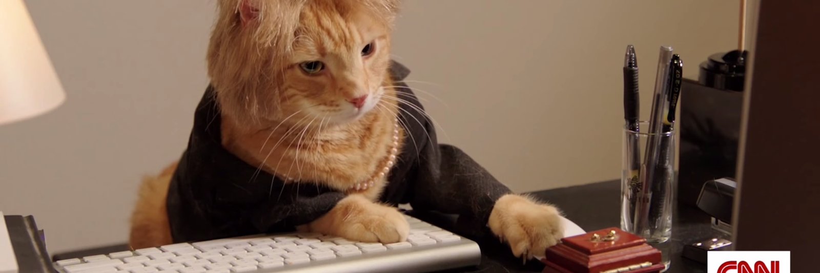GrumpCurmudgeon's profile banner image