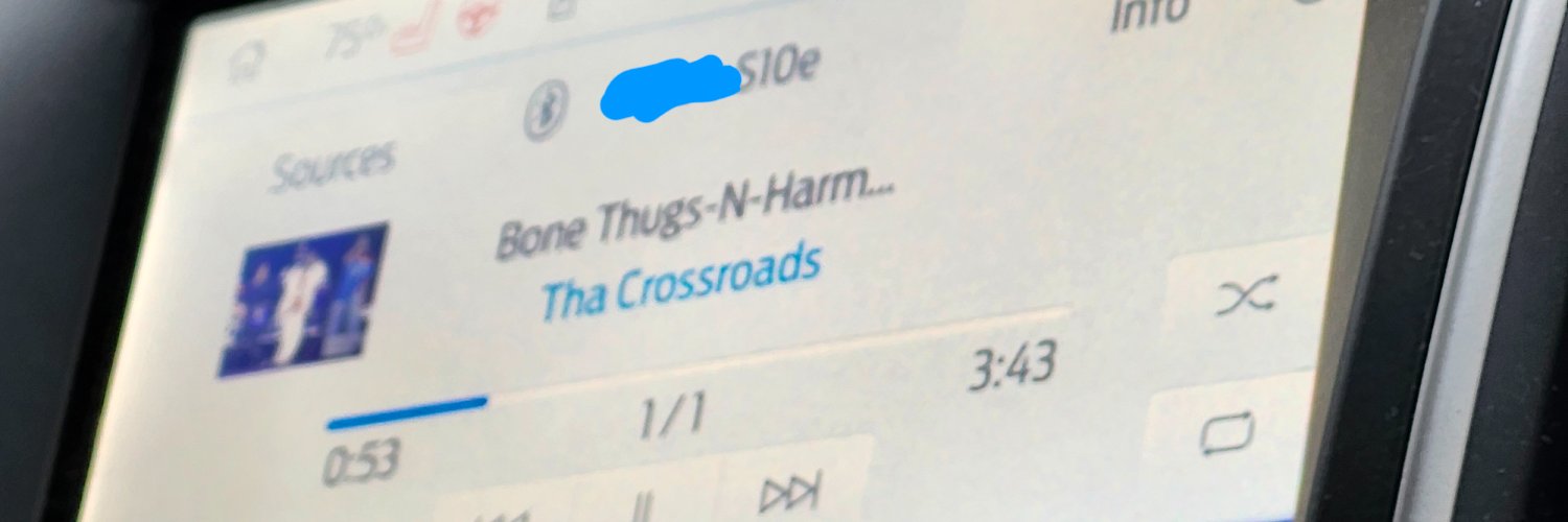 Ruitethewingedfox5 banner