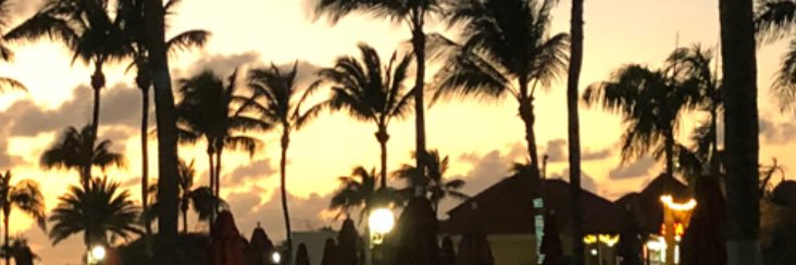 robdili's profile banner image