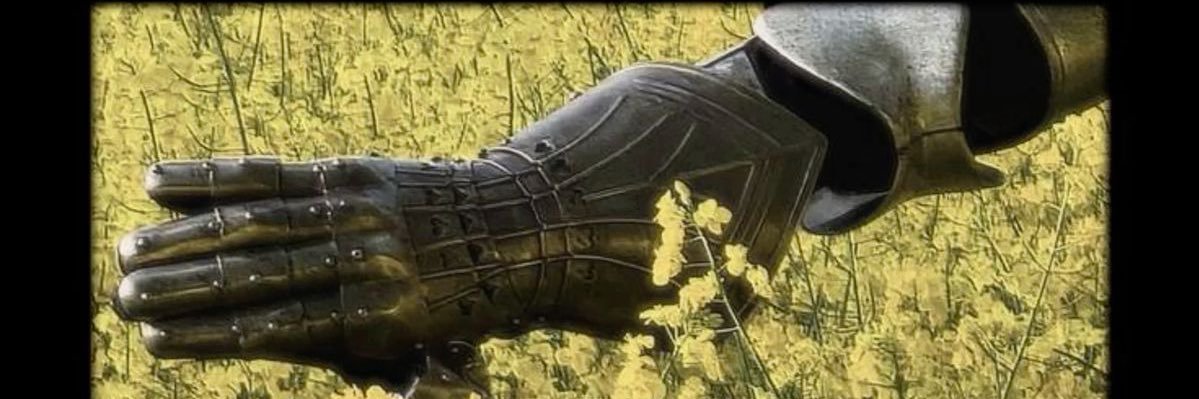 beetle banner