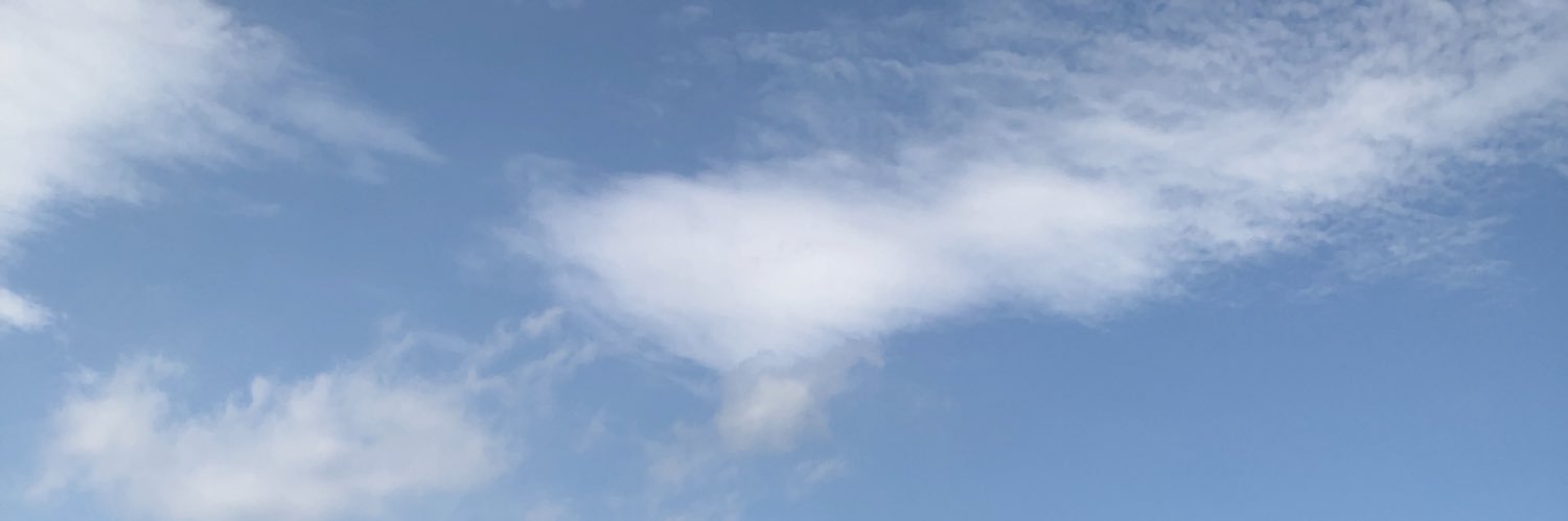maolennya's profile banner image