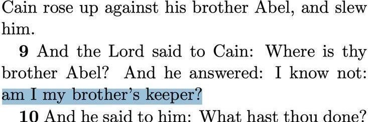 grace // ed twt banner