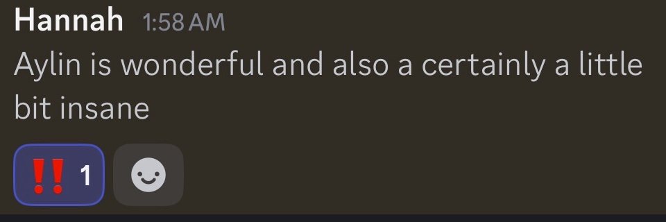 snow-covered aylin banner