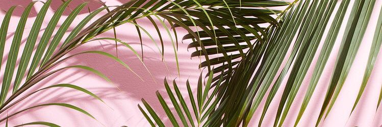 AustinByrd89's profile banner image