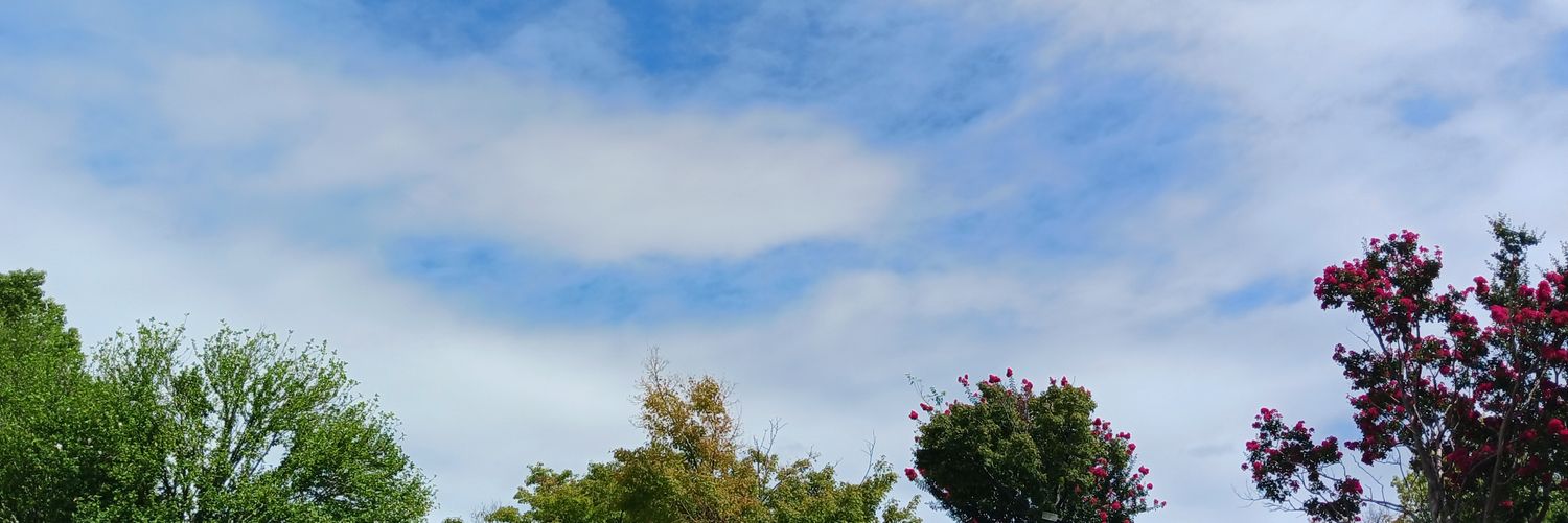 frenchfried511's profile banner image