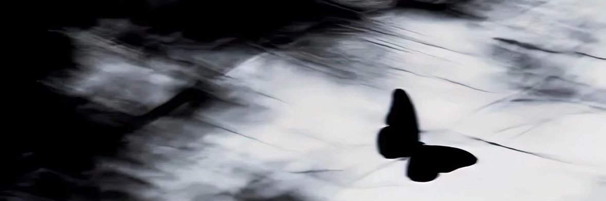 zvvxw's profile banner image