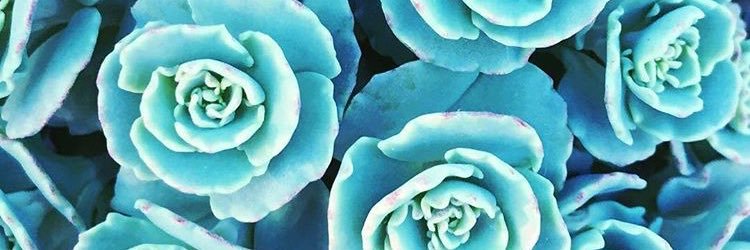 ethomm's profile banner image