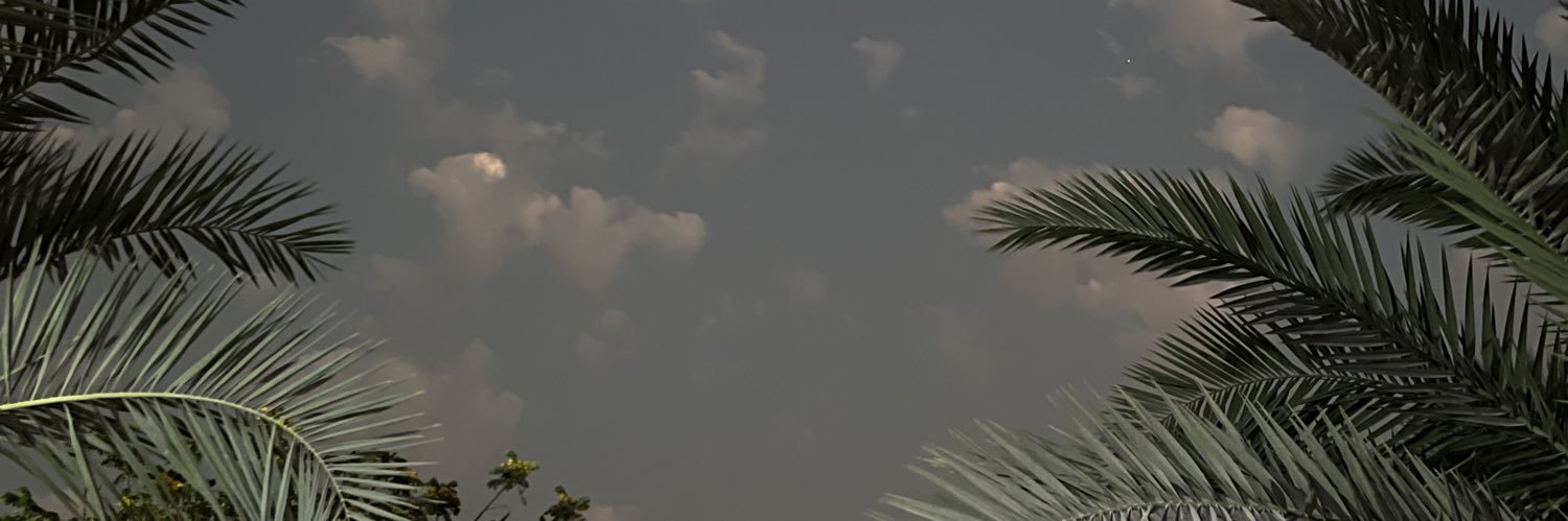 HaneenNbta's profile banner image