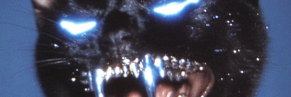 TheeKatalyst_'s profile banner image
