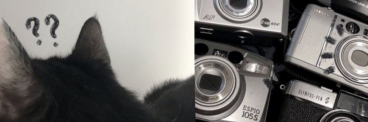 Mclacrent's profile banner image