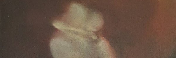 saorsaxx Profile Banner