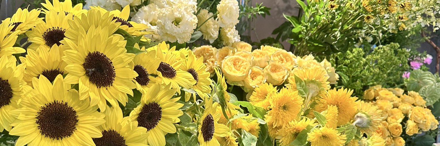 りん🎐🧸 banner