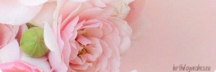 Jennyar27's profile banner image