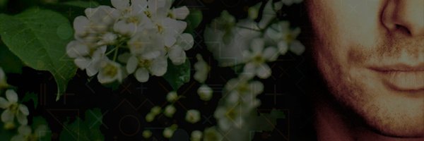 IsaacHowlett Profile Banner