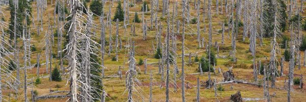 eco_FSF Profile Banner