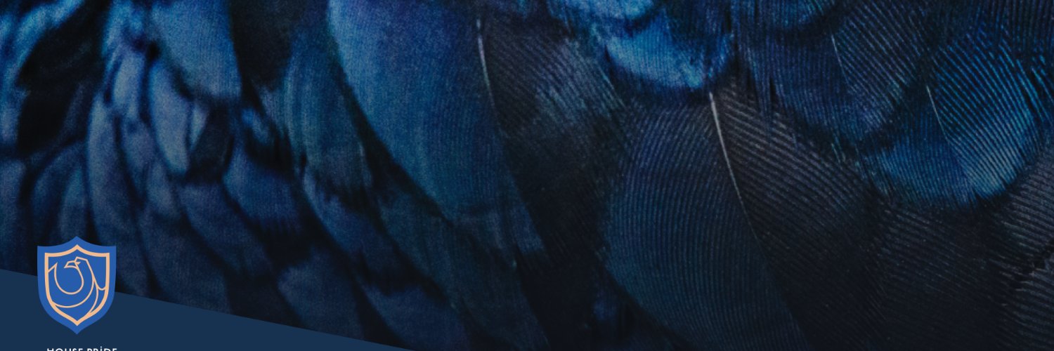 mcmireles's profile banner image