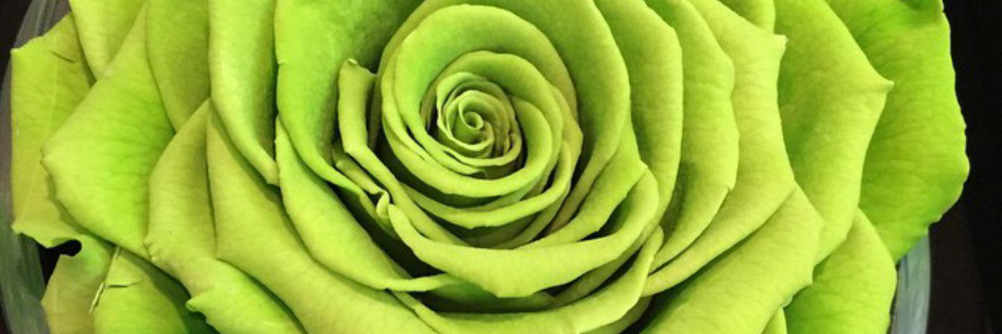 Z_AlRustamani's profile banner image