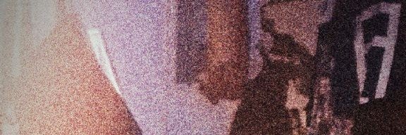 Zambee_Bee's profile banner image