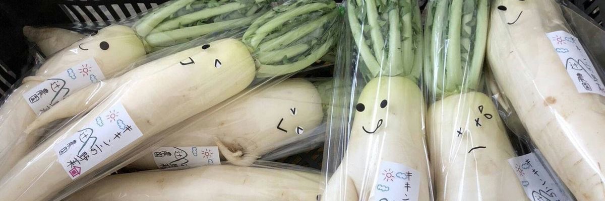 눅눅한 감자튀김 banner