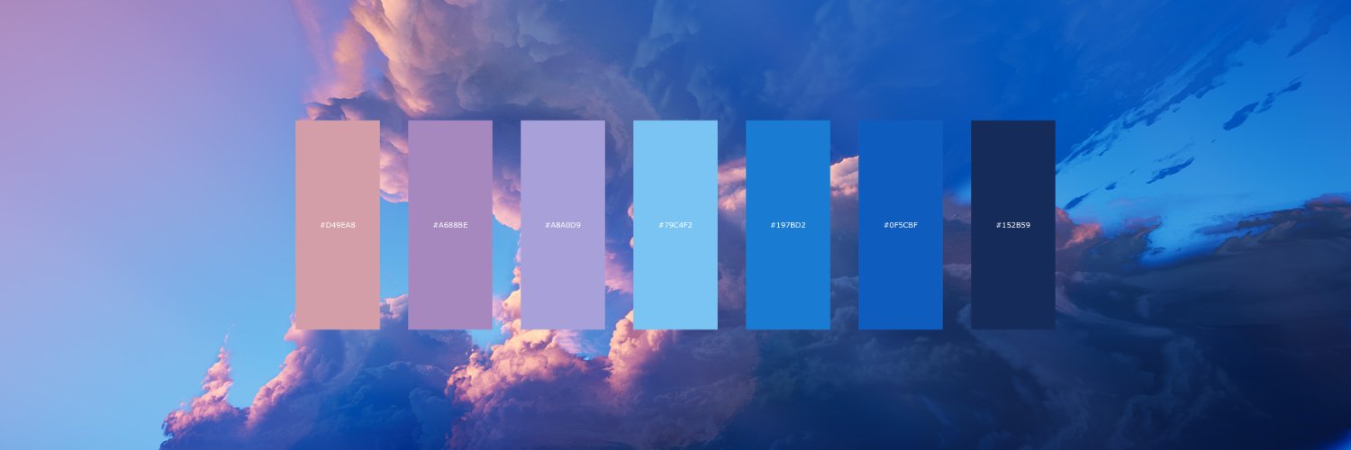 BonitoChips banner