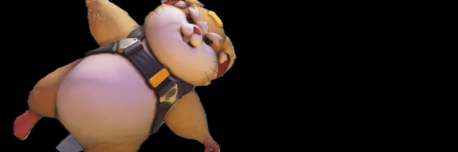 raidy0X's profile banner image