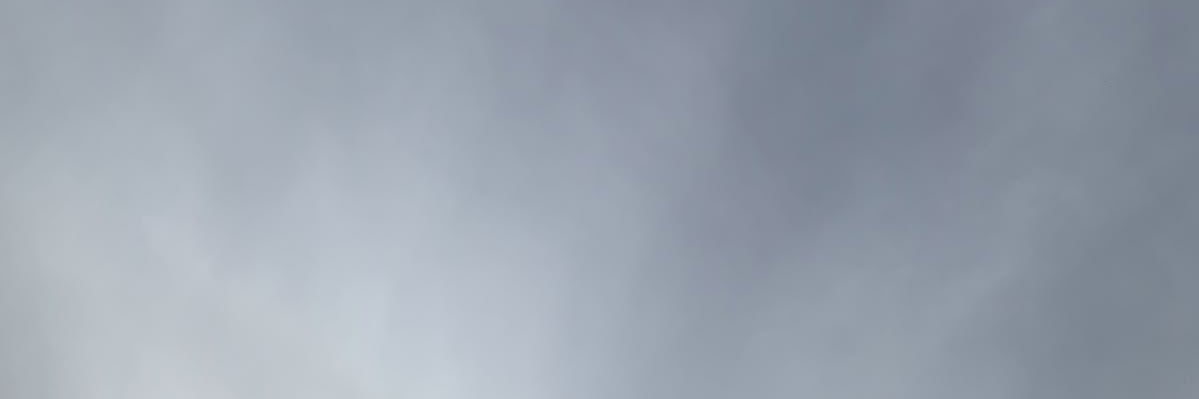 shafiu²⁷ֻ 𑙕〣◞ᱹ ̫ ᱹ◟᠔ banner