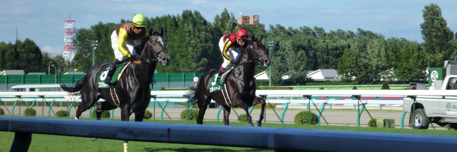 でぃなーらっしゅ🌻🐾 banner