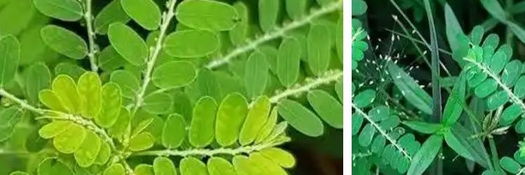 l o g y 10 🏙️ banner