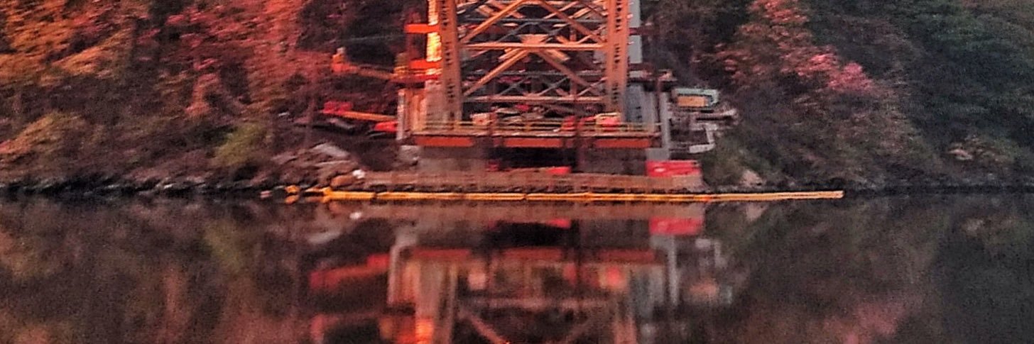 Bo Gator (the owner) 🇺🇸🇺🇸🇺🇸 banner