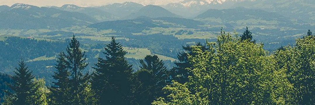 JuligansR's profile banner image
