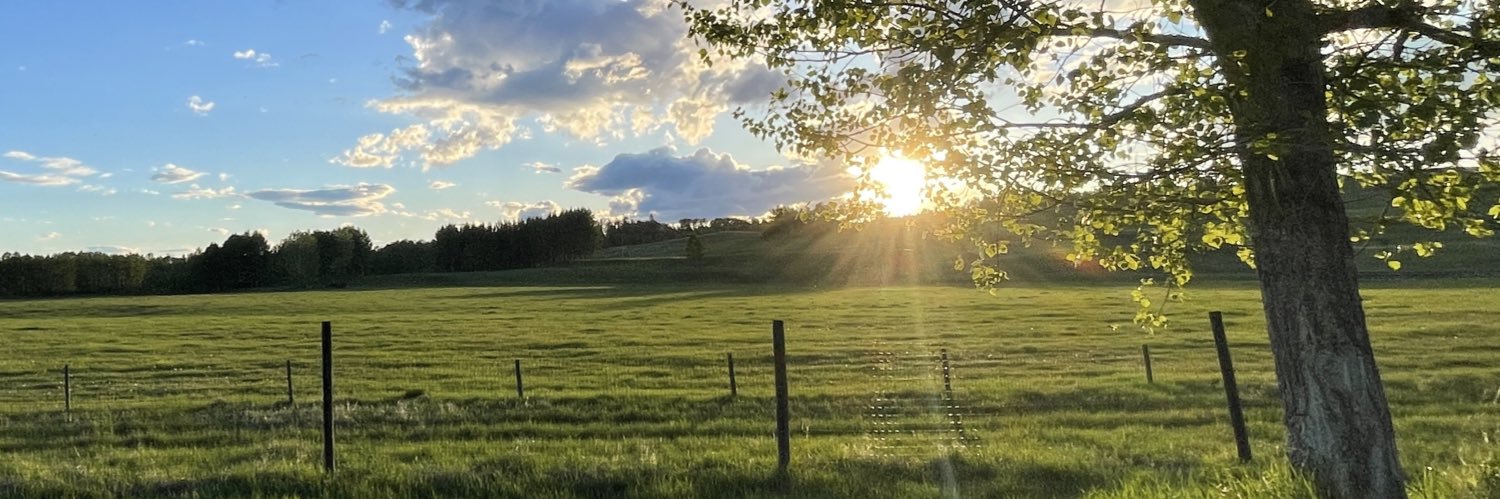 robb_price's profile banner image