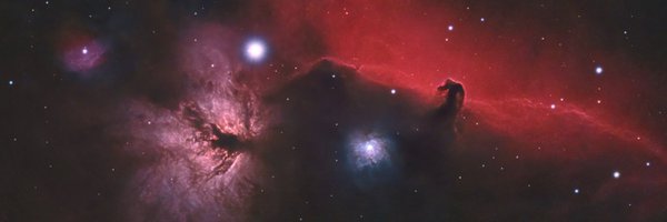 RayM5666 Profile Banner