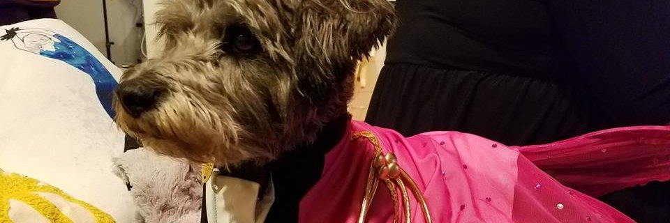glamatcha's profile banner image