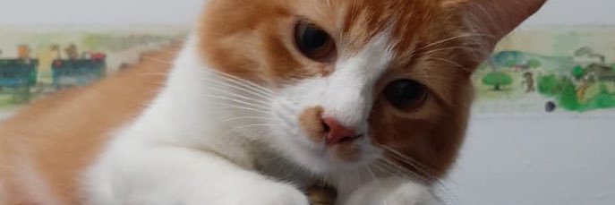 firstadian's profile banner image