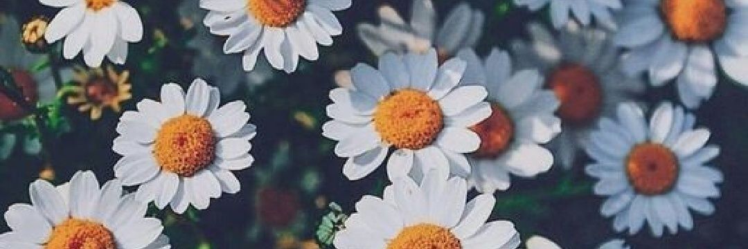 giuperonace's profile banner image