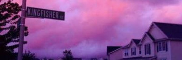 thesillyfox1952 Profile Banner