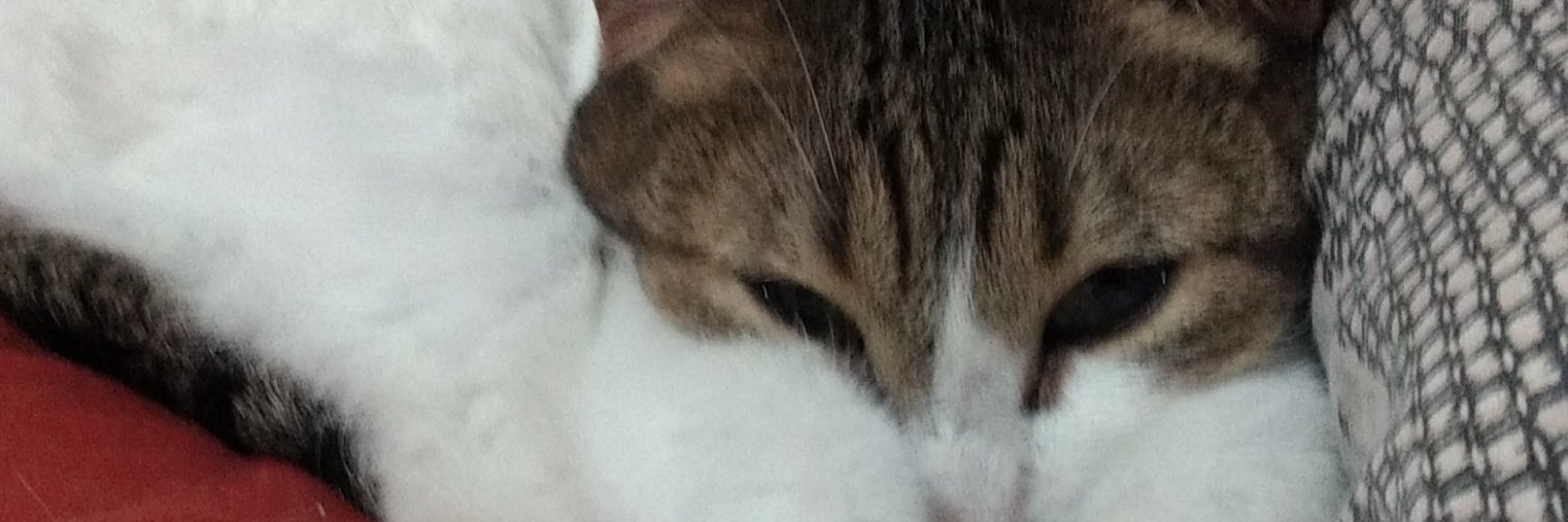 Satinrojo's profile banner image