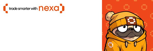 nexaxyz Profile Banner