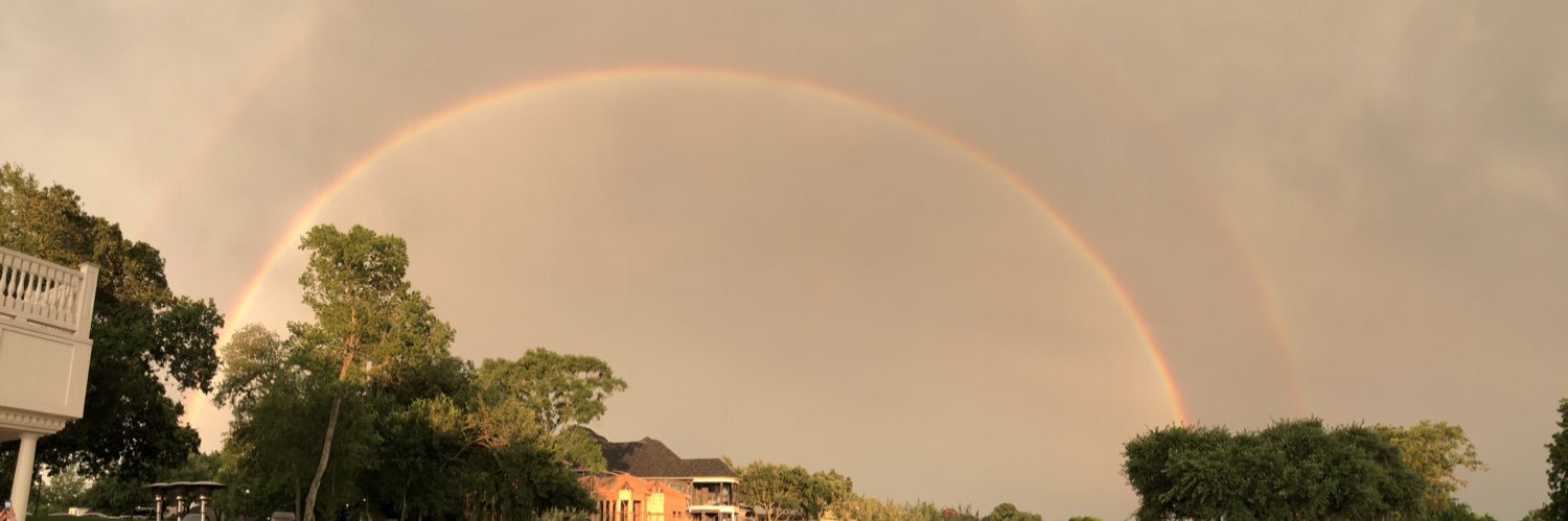 lyn_stewart's profile banner image