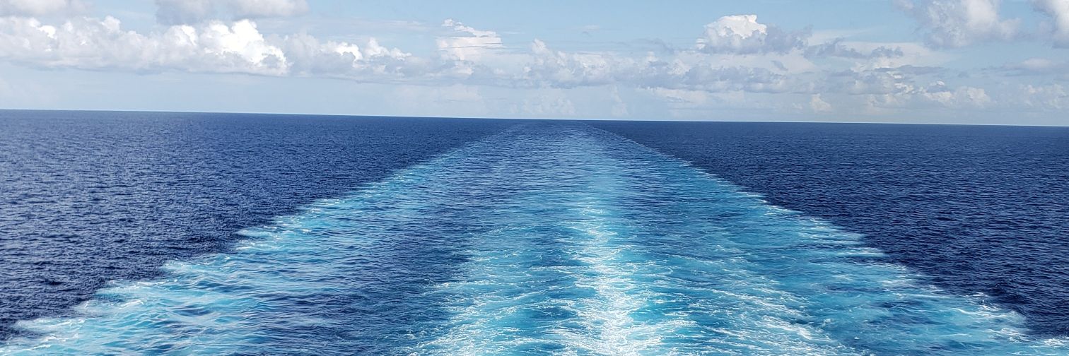 Erin Elizabeth banner