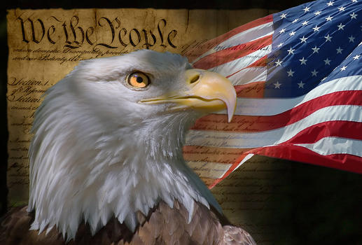 Tacdriverone4 banner