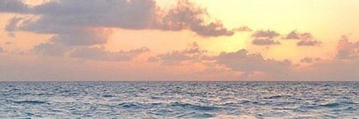 H. banner